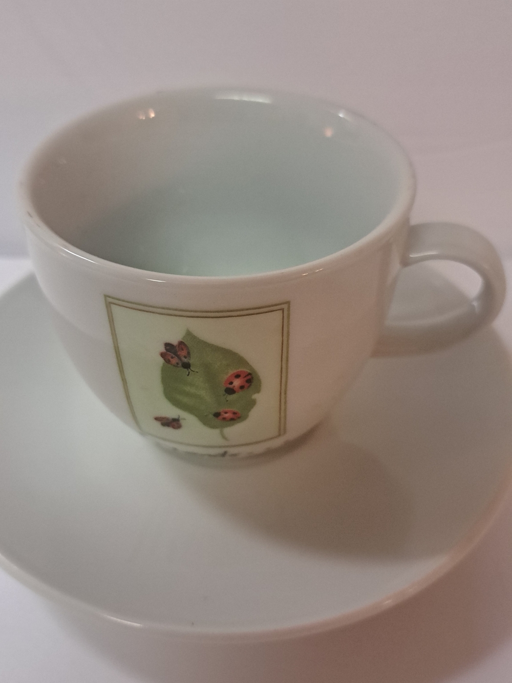 Truly Tasteful Bistro with Green Leaf and Ladybug Motif VTG